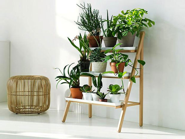 gardenista 12 Lovely Plant Stands That Are Perfect To Display Your Favorite Plants Indoors