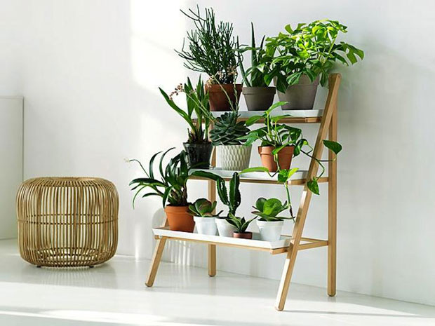 12 Lovely Plant Stands That Are Perfect To Display Your Favorite Plants Indoors gardenista 12 Lovely Plant Stands That Are Perfect To Display Your Favorite Plants Indoors