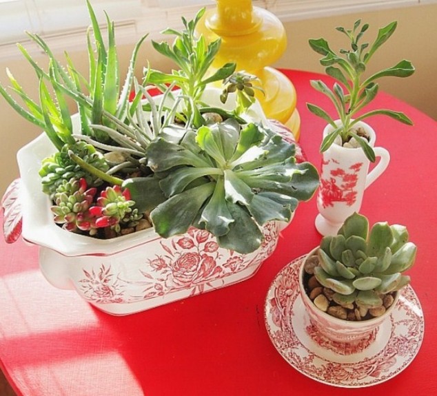 inspirations container gardening indoor container garden ideas 634x575 15 Fantastic Succulent Garden Ideas For Your Home