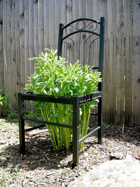 old chair tellis 13 Exceptional DIY Trellis Ideas For You Garden