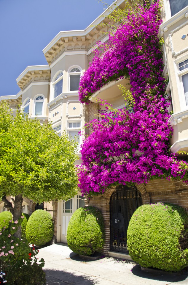 12 Extraordinary Floral Balconies That Will Catch The Attention Of Passerby pic 51eef99a9606ee2869b0e4dc 3 634x958 12 Extraordinary Floral Balconies That Will Catch The Attention Of Passerby