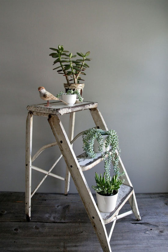 12 Lovely Plant Stands That Are Perfect To Display Your Favorite Plants Indoors use a ladder as a plant stand 12 Lovely Plant Stands That Are Perfect To Display Your Favorite Plants Indoors