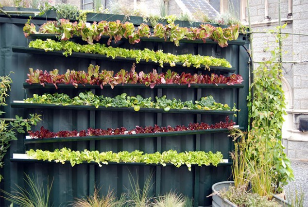 vertical garden1 634x426 12 Original PVC Pipe Planters To Liven Up Your Garden