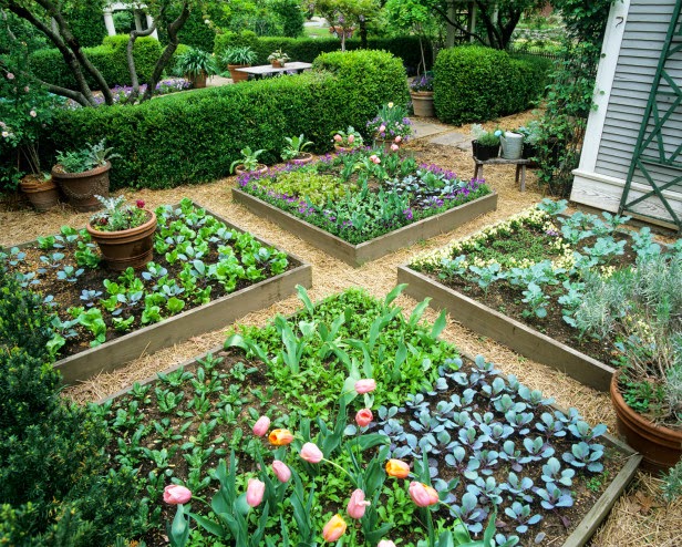 14 Stunning Raised Garden Beds For Growing Healthy Vegies 231 14 Stunning Raised Garden Beds For Growing Healthy Vegies