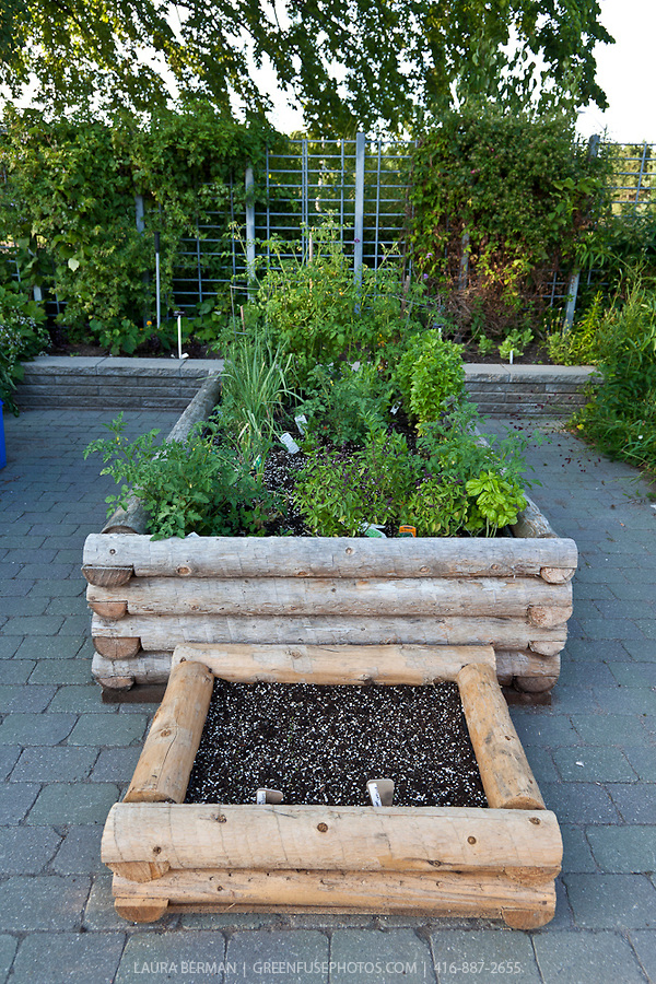 14 Stunning Raised Garden Beds For Growing Healthy Vegies Container garden LB1008 1434 14 Stunning Raised Garden Beds For Growing Healthy Vegies