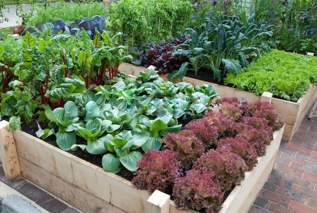 Vegetable Garden Raised Bed 634x425 14 Stunning Raised Garden Beds For Growing Healthy Vegies