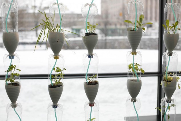 windowfarms fi plants bottles credit antti ahonen 1 634x423 15 Incredible Ideas For Indoor Herb Garden