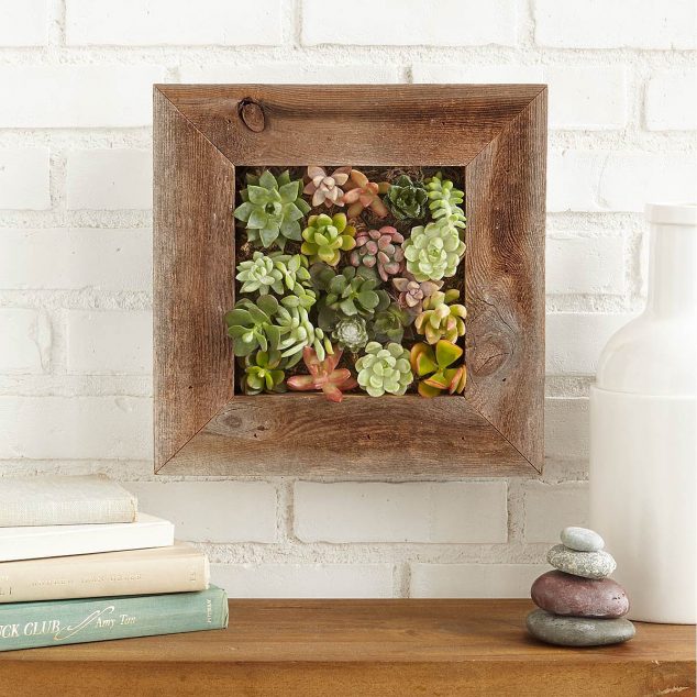 23315 1 1200px 634x634 14 DIY Succulent Frame Full Of Life For Wall Arrangement