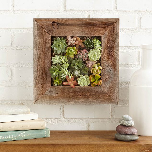 14 DIY Succulent Frame Full Of Life For Wall Arrangement 23315 1 1200px 634x634 14 DIY Succulent Frame Full Of Life For Wall Arrangement
