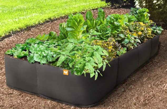 19 Ways How To Build Raised Bed Garden 37 backyard raised bed garden ideas amazon 870x571 634x416 19 Ways How To Build Raised Bed Garden