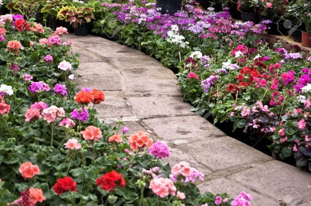 6567531 Garden with winding paved path Stock Photo flower 634x421 15 Flower Pathway For Lively Garden That You Must See Today