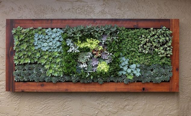 7104f7ac6e3d9a5f99e7874e81907473 634x384 14 DIY Succulent Frame Full Of Life For Wall Arrangement