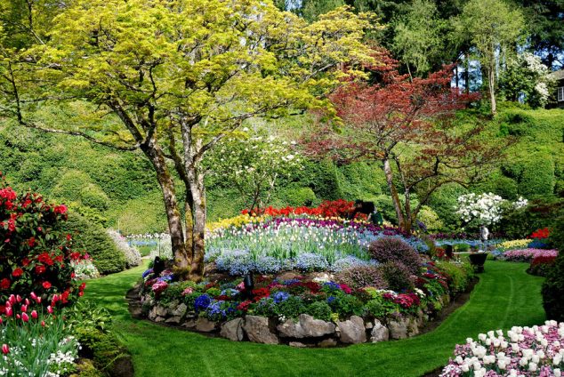 15 Flower Pathway For Lively Garden That You Must See Today 81759021 large 0 afc7c a3270ed9 orig 634x424 15 Flower Pathway For Lively Garden That You Must See Today