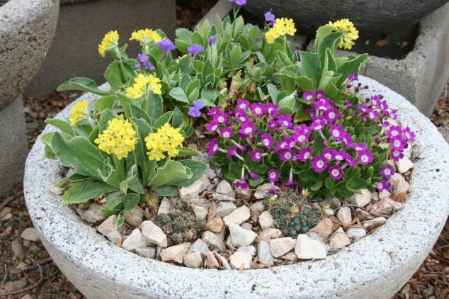 Laporte KF 2012 23 1024x682 634x422 15 DIY Creative Flower Pots For A Dream Garden