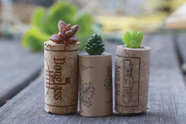 12 DIY Tiny Planters That Provide Inspiration For Sure PMOYHkAlnrUx 634x423 12 DIY Tiny Planters That Provide Inspiration For Sure