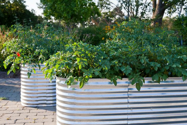 19 Ways How To Build Raised Bed Garden Planter LB1108 6284 634x423 19 Ways How To Build Raised Bed Garden