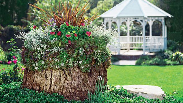 Turn old tree stumps into beautiful flower planters 634x360 15 DIY Creative Flower Pots For A Dream Garden