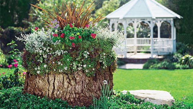 15 DIY Creative Flower Pots For A Dream Garden Turn old tree stumps into beautiful flower planters 634x360 15 DIY Creative Flower Pots For A Dream Garden