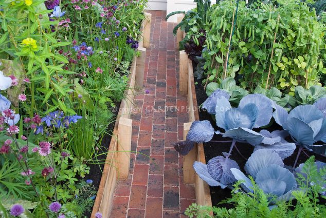 Vegetable Flower Garden J013855 634x425 15 Flower Pathway For Lively Garden That You Must See Today