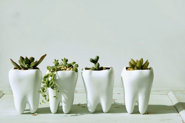  12 DIY Tiny Planters That Provide Inspiration For Sure