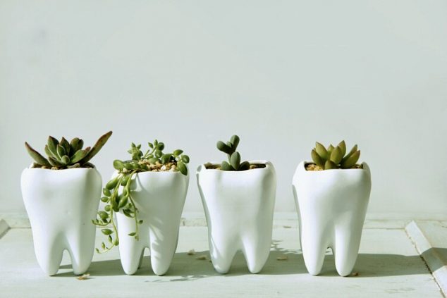12 DIY Tiny Planters That Provide Inspiration For Sure 12 DIY Tiny Planters That Provide Inspiration For Sure