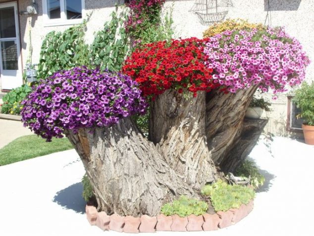 15 DIY Creative Flower Pots For A Dream Garden e27ff6471d78189f0e9ac9be5ac6af35 634x476 15 DIY Creative Flower Pots For A Dream Garden