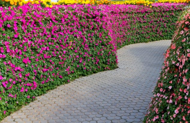 garden path with beautiful pink flowers min e1436472717981 634x411 15 Flower Pathway For Lively Garden That You Must See Today