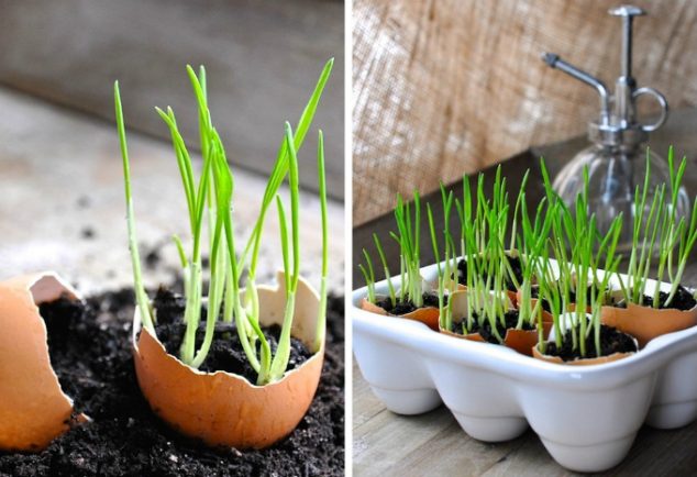 greenthumbwhiteapron 634x434 12 DIY Tiny Planters That Provide Inspiration For Sure