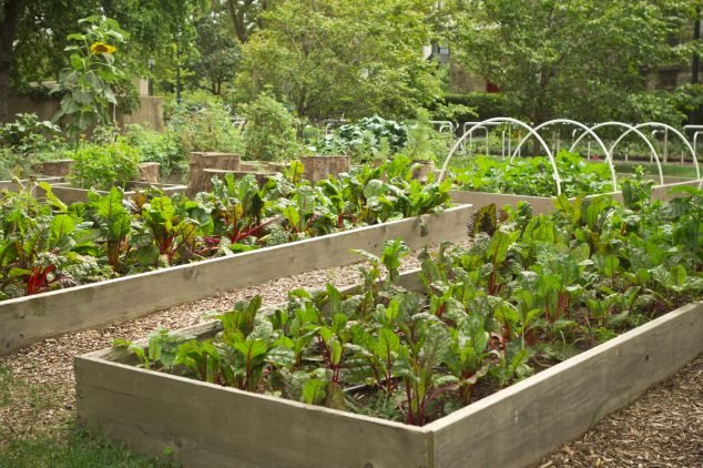 19 Ways How To Build Raised Bed Garden iStock 000021278514Medium 634x422 19 Ways How To Build Raised Bed Garden