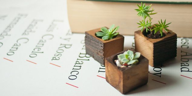 il fullxfull.827070227 68ou 634x317 12 DIY Tiny Planters That Provide Inspiration For Sure