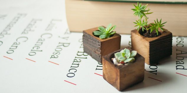 12 DIY Tiny Planters That Provide Inspiration For Sure il fullxfull.827070227 68ou 634x317 12 DIY Tiny Planters That Provide Inspiration For Sure