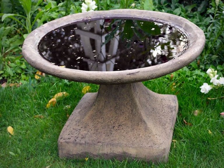 largebirdbathbowl Fantastic Viewpoint