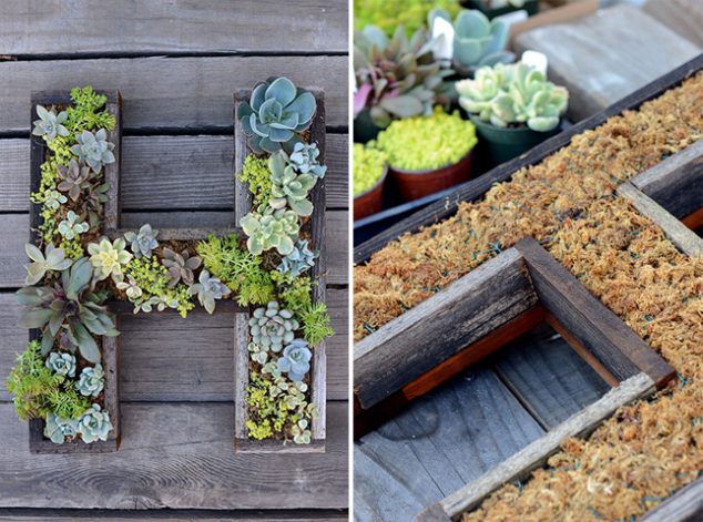 14 DIY Succulent Frame Full Of Life For Wall Arrangement living wall letter 634x471 14 DIY Succulent Frame Full Of Life For Wall Arrangement