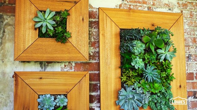 maxresdefault 2 634x357 14 DIY Succulent Frame Full Of Life For Wall Arrangement