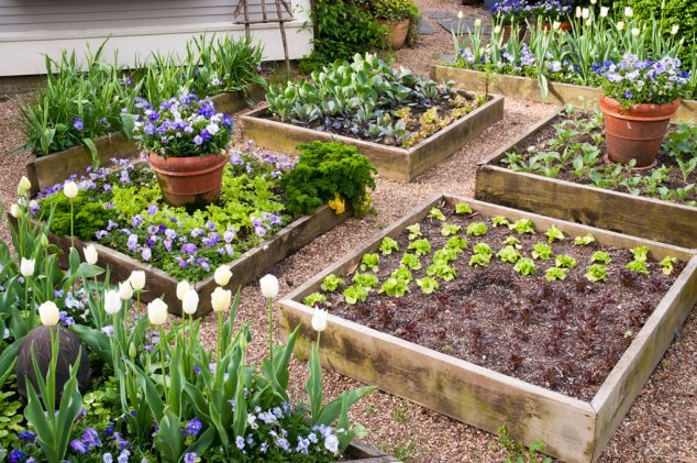 19 Ways How To Build Raised Bed Garden p allen beautiful raised beds web 634x421 19 Ways How To Build Raised Bed Garden
