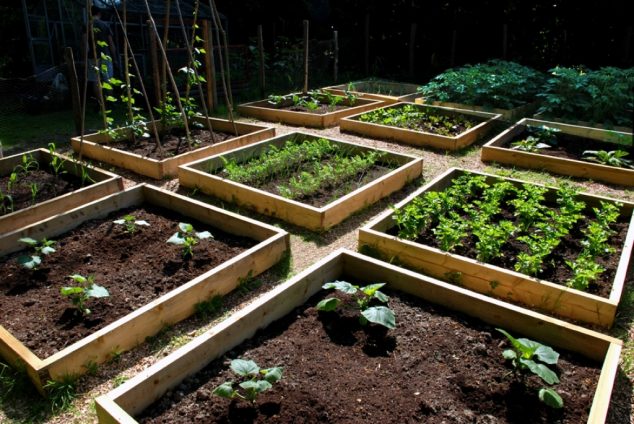 simple vegetable garden designs and simple home vegetable garden sky designs ideas 634x424 19 Ways How To Build Raised Bed Garden