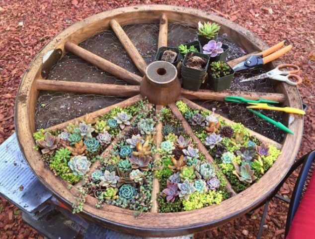 15 DIY Favorite Backyard Garden Ideas For This Summer the best diy garden ideas outdoor projects 2 680x515 634x480 15 DIY Favorite Backyard Garden Ideas For This Summer