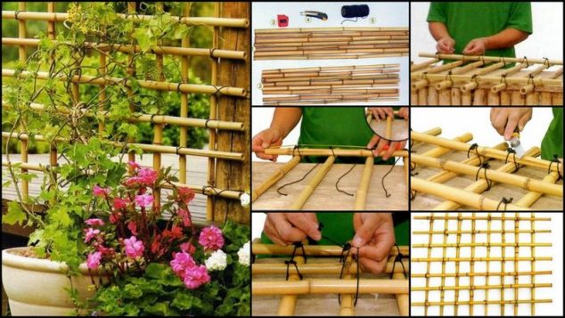 13 DIY Ideas How To Use Bamboo Creatively For Garden BambooTrellis 634x357 13 DIY Ideas How To Use Bamboo Creatively For Garden