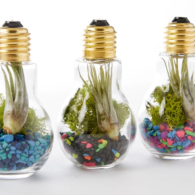 DIY Light Bulb Terrarium 11 634x634 14 DIY Decorative Elements Of Re purposed Everyday Objects Turned Into Treasure