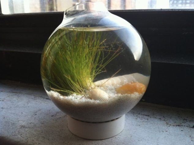 14 DIY Decorative Elements Of Re purposed Everyday Objects Turned Into Treasure bulbwaterterrarium onpapercuts.wp.com 634x474 14 DIY Decorative Elements Of Re purposed Everyday Objects Turned Into Treasure