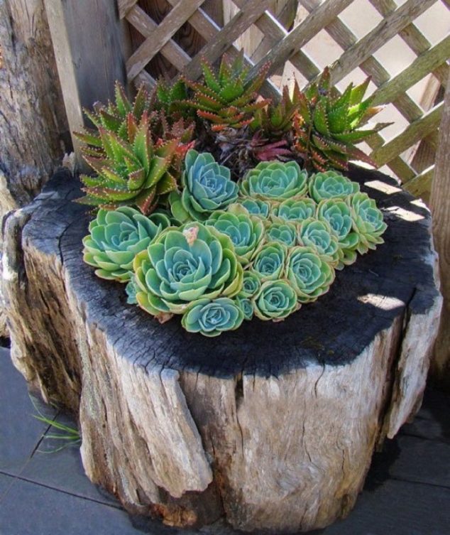 14 DIY Wooden Stump Vases That Simplicity Defining Beauty In House 430629dc532a73dd577489e9897f821b 634x753 14 DIY Wooden Stump Vases That Simplicity Defining Beauty In House