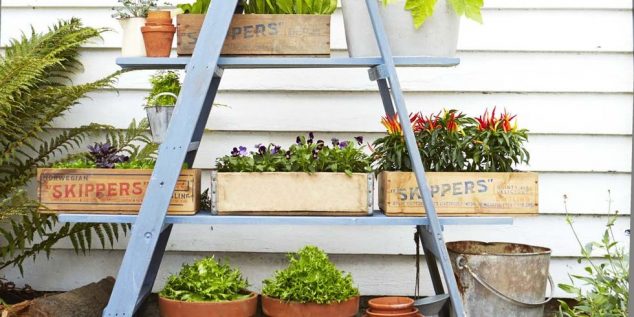 54fe6f6574844 enviro1 de 634x317 13 Clever Ways How Reuse The Old Ladder For Garden Decoration