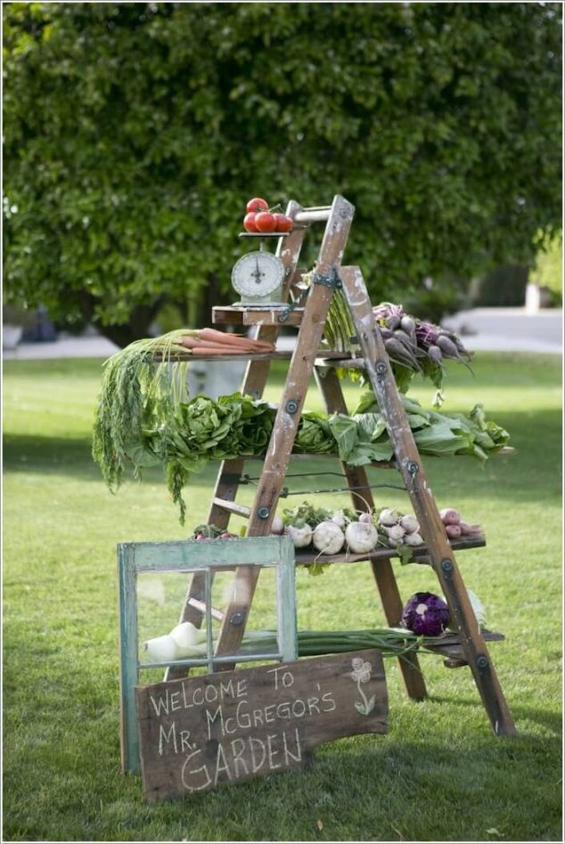  13 Clever Ways How Reuse The Old Ladder For Garden Decoration