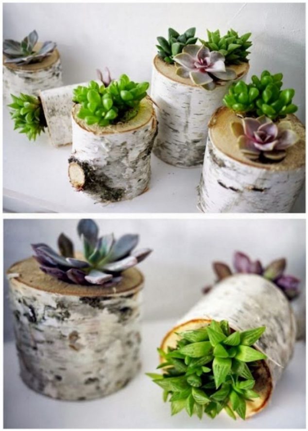 14 DIY Wooden Stump Vases That Simplicity Defining Beauty In House 8575 2 634x887 14 DIY Wooden Stump Vases That Simplicity Defining Beauty In House