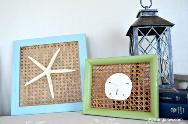 13 DIY Projects That Youve Never Heard Of DIY Coastal Shell Startfish Wall Art 634x421 13 DIY Projects That Youve Never Heard Of