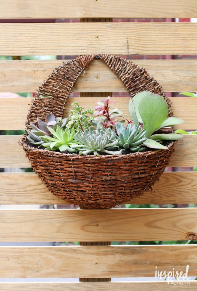 DIY Succulent Planter 694x1024 694x1024 634x935 12 Easy To Make Succulent Planters Inspired By Their Charm