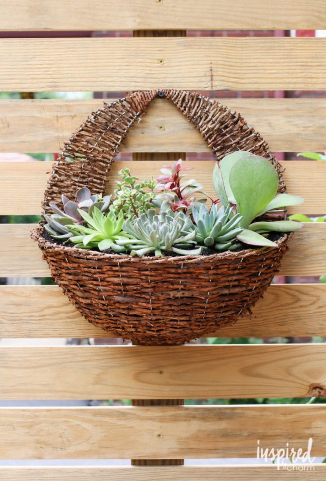 12 Easy To Make Succulent Planters Inspired By Their Charm DIY Succulent Planter 694x1024 694x1024 634x935 12 Easy To Make Succulent Planters Inspired By Their Charm