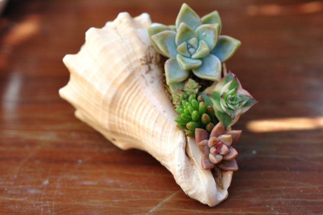 12 Easy To Make Succulent Planters Inspired By Their Charm DSC 0942 e1430281963479 634x421 12 Easy To Make Succulent Planters Inspired By Their Charm