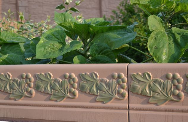 Decorative Fence Mould Grapes Border font b Edging b font Concrete font b Garden b font 634x411 15 Creative Garden Edging Ideas For A Better Outdoor Look