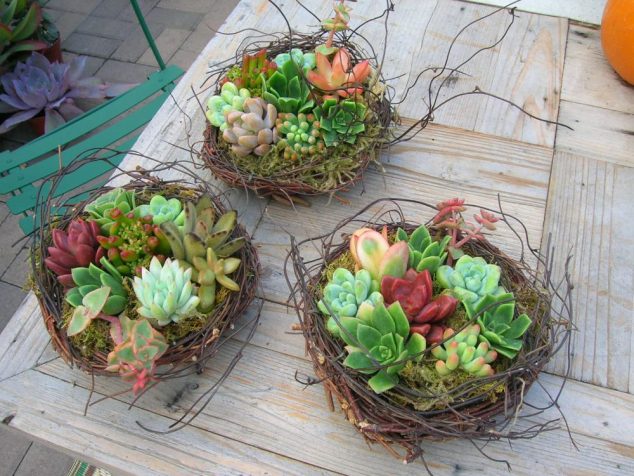 Gorgeous Succulent Planters Instantly Beautifying Your Home homesthetics 7 634x476 12 Easy To Make Succulent Planters Inspired By Their Charm